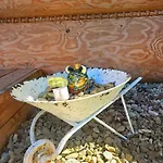 Goralska 3 Highland - Jacuzzi, Sauna, Split Ac, Private Parking, Mountains View * זקופאנה