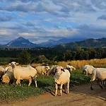 בקתה Goralska 3 Highland - Jacuzzi, Sauna, Split Ac, Private Parking, Mountains View זקופאנה