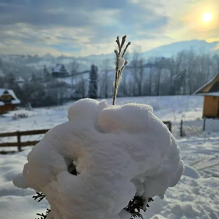 Alpesi faház Goralska 3 Highland - Jacuzzi, Sauna, Split Ac, Private Parking, Mountains View
