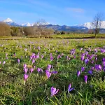 Goralska 3 Highland - Jacuzzi, Sauna, Split Ac, Private Parking, Mountains View 木屋
