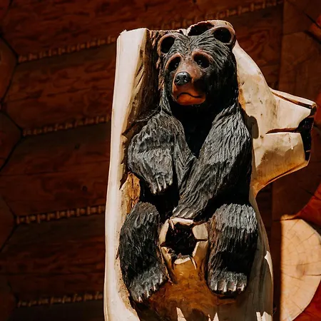 Goralska 3 Highland - Jacuzzi, Sauna, Split Ac, Private Parking, Mountains View Dağ evi Zakopane