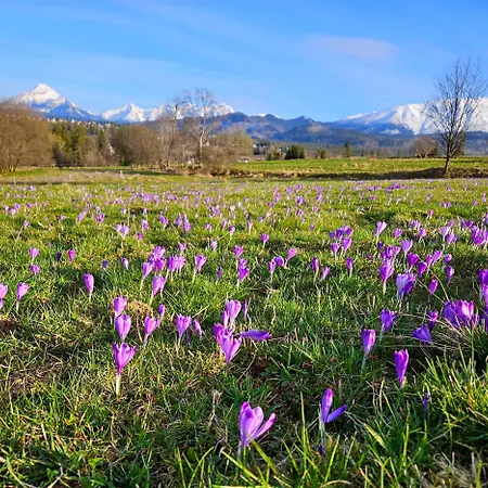 Goralska 3 Highland - Jacuzzi, Sauna, Split Ac, Private Parking, Mountains View Dağ evi