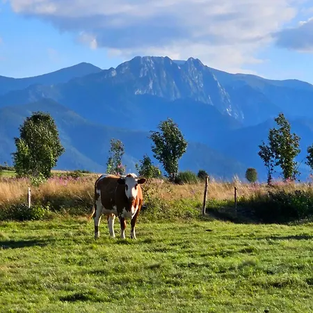 Goralska 3 Highland - Jacuzzi, Sauna, Split Ac, Private Parking, Mountains View Alpehytte Zakopane