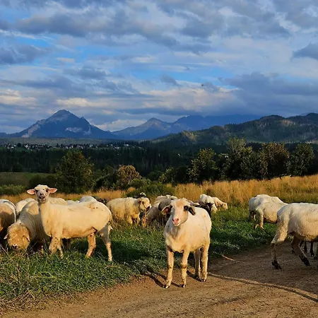 Dağ evi Goralska 3 Highland - Jacuzzi, Sauna, Split Ac, Private Parking, Mountains View Zakopane