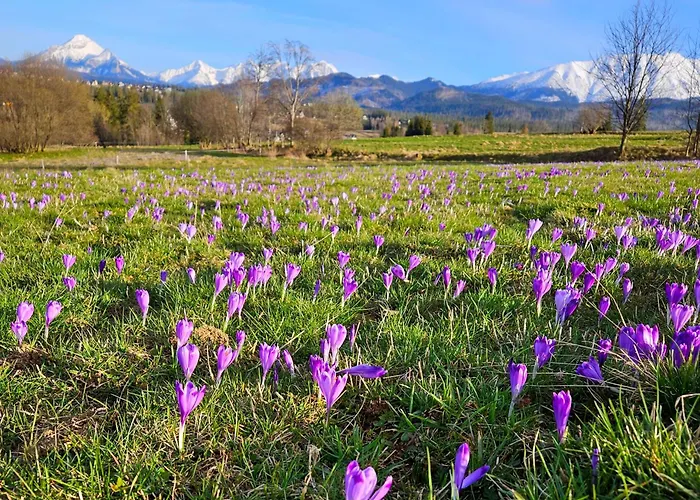 Goralska 3 Highland - Jacuzzi, Sauna, Split Ac, Private Parking, Mountains View Chalet