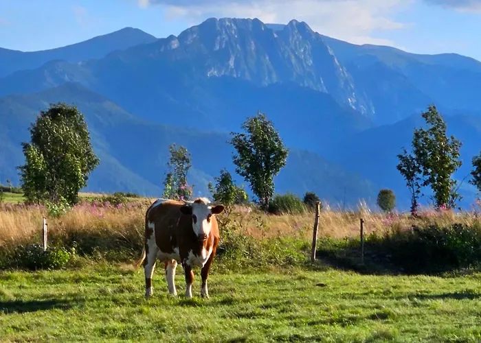 Goralska 3 Highland - Jacuzzi, Sauna, Split Ac, Private Parking, Mountains View Chalet Zakopane