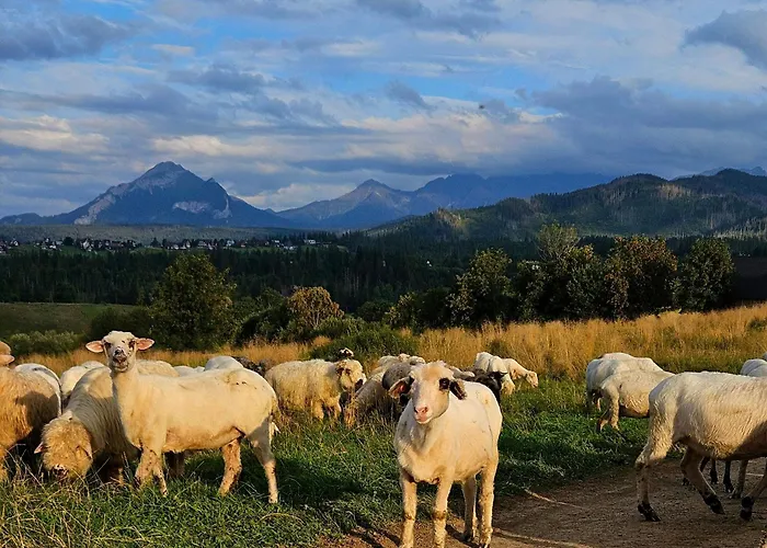 Domek alpejski Goralska 3 Highland - Jacuzzi, Sauna, Split Ac, Private Parking, Mountains View Zakopane