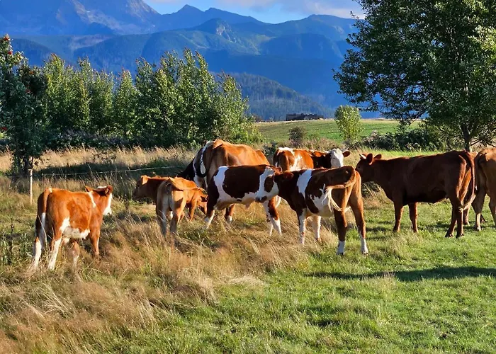 Goralska 3 Highland - Jacuzzi, Sauna, Split Ac, Private Parking, Mountains View Domek alpejski *