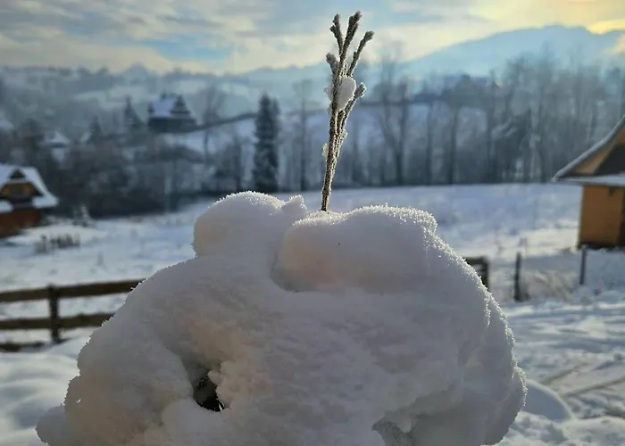 Dağ evi Goralska 3 Highland - Jacuzzi, Sauna, Split Ac, Private Parking, Mountains View